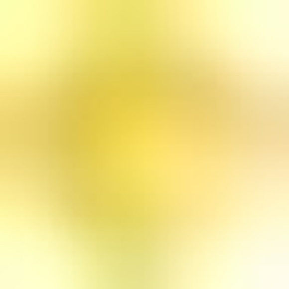 Meet your Posher, Zoe - Picture 1 of 1